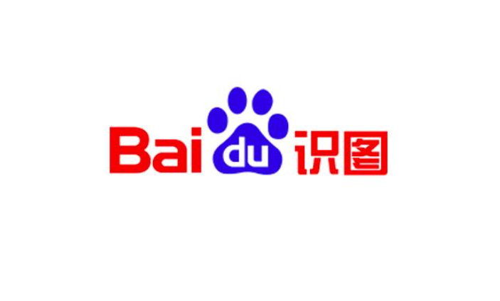站群结构优化与蜘蛛池